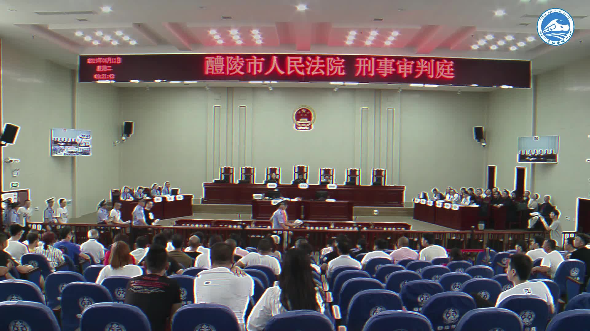 斩获国家级大奖！湖南检察作品获首届金蜂鸟奖微纪录单元一等奖
