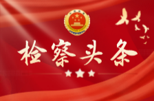 2024年湖南检察第一个国字号典型案例