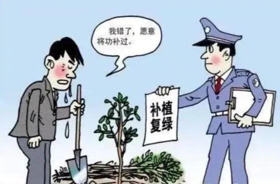 岳塘檢察：行刑反向銜接，以司法力量守護“生態(tài)綠”