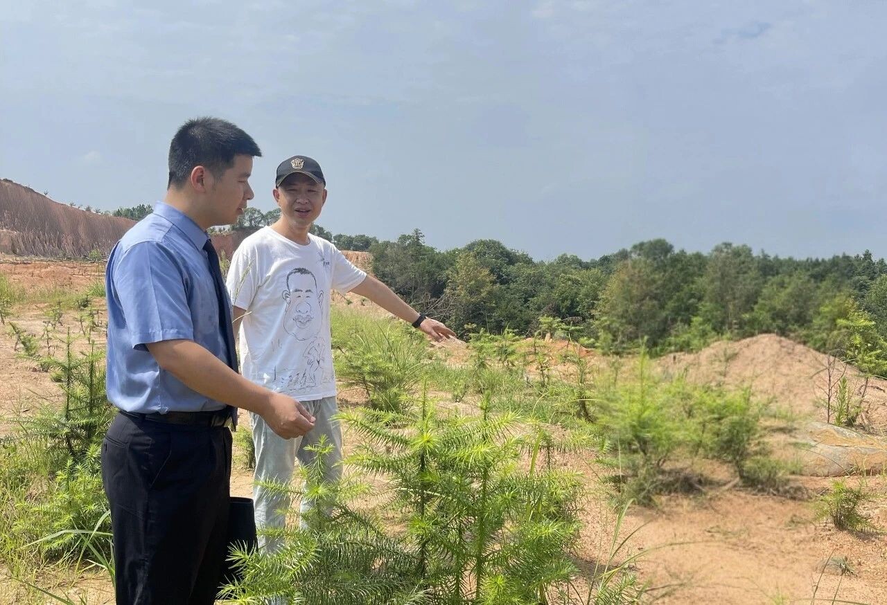 毀林人變護林人？檢察建議讓“傷痕林地”重獲新生！