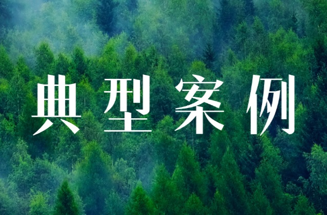 【践行“两山”理念】湖南检察机关生态环境和资源保护公益诉讼典型案例⑧