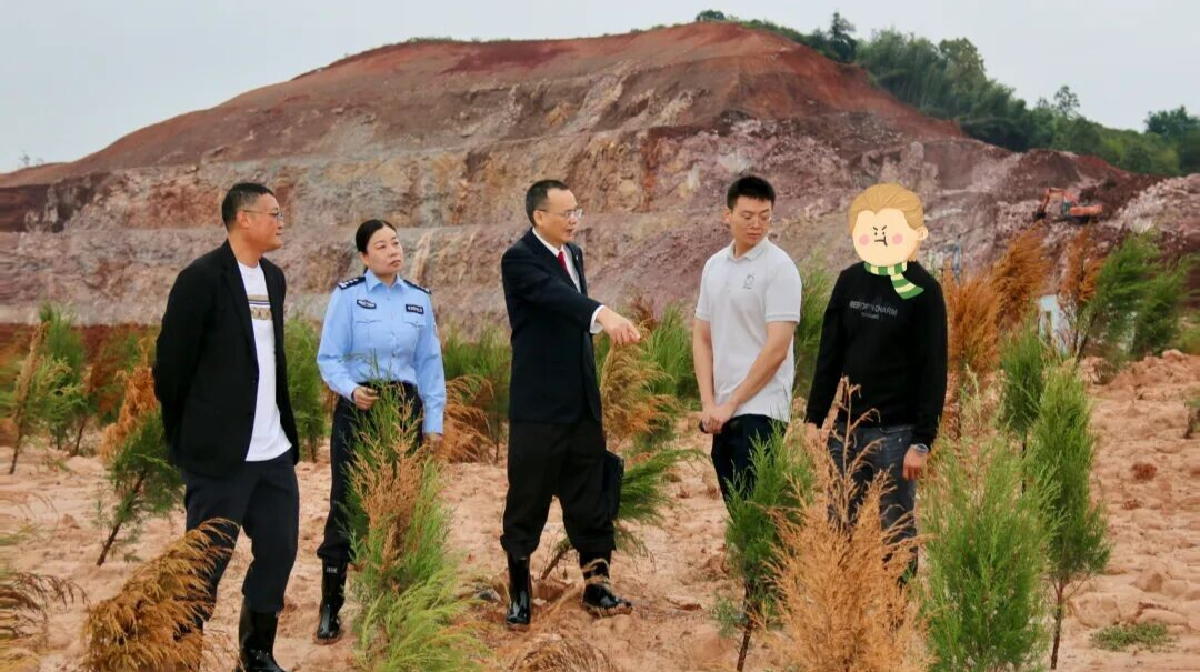 为了330余亩林地“重生”，常宁检察硬是“揪着”不放