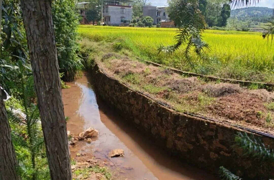 从“垃圾沟”到“清水渠”，桂阳检察一纸建议推动乡村换新颜