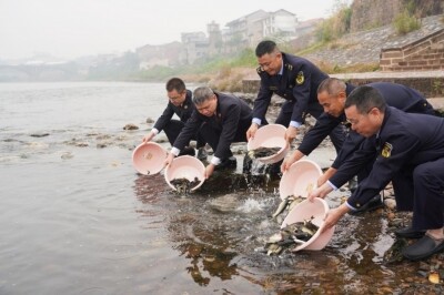 生态赔偿金“游”进洣水  2万尾鱼苗织密修复网