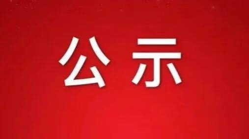 【公示】湖南日报融媒传播有限公司招聘录取结果公示