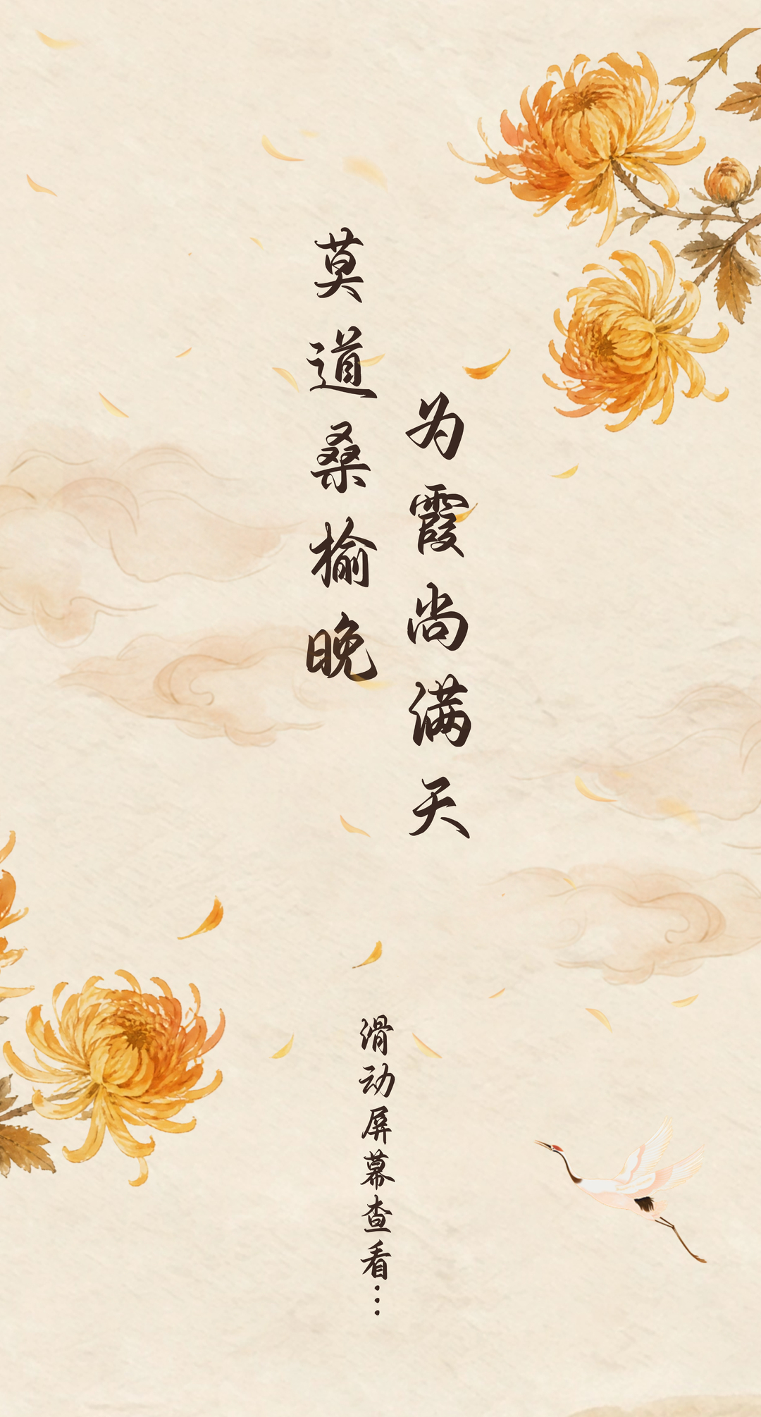 【长图】金菊盛开，检察机关守护银龄安全